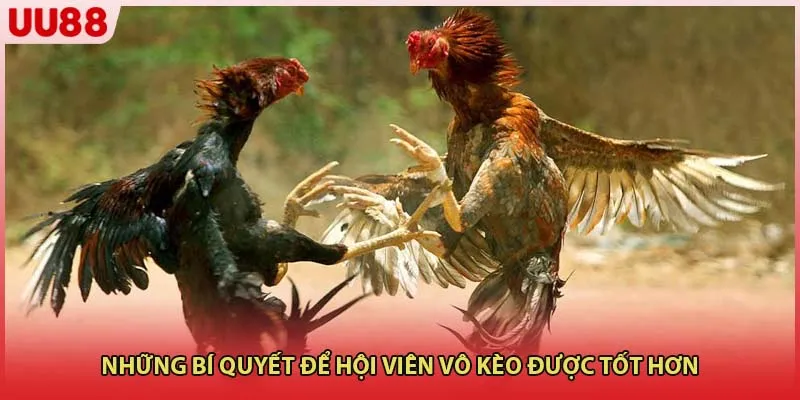 Những bí quyết để hội viên vô kèo được tốt hơn